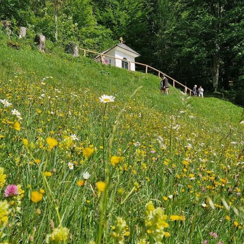 Erstkommunion Au und Berchtesgaden